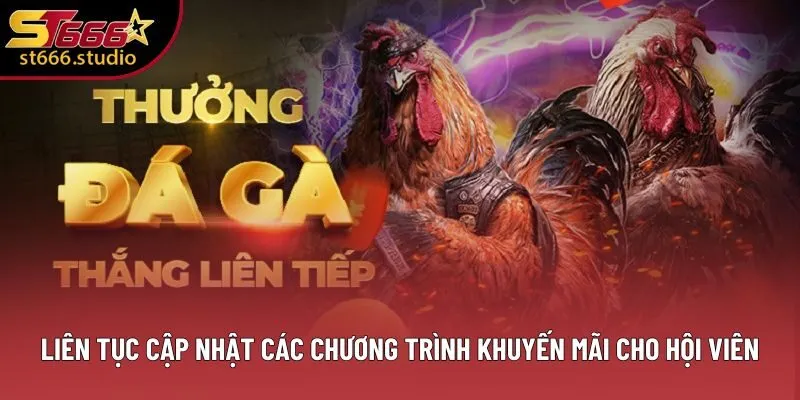 Liên tục cập nhật các chương trình khuyến mãi cho hội viên Liên tục cập nhật các chương trình khuyến mãi cho hội viên
