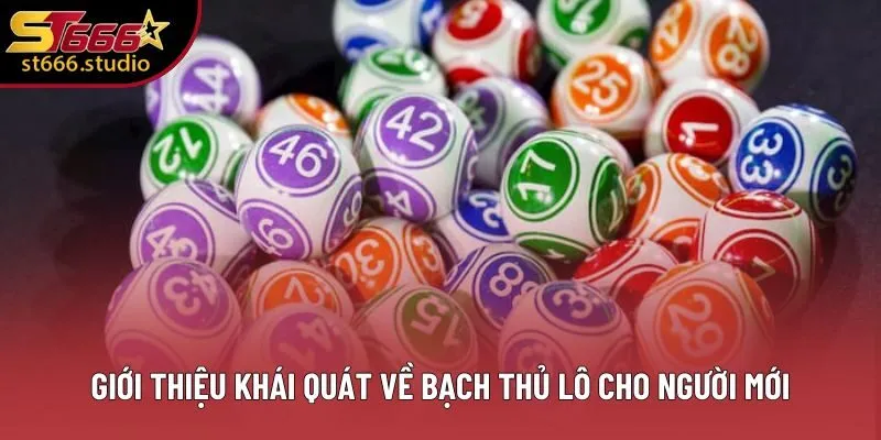 Giới thiệu khái quát về bạch thủ lô cho người mới Giới thiệu khái quát về bạch thủ lô cho người mới