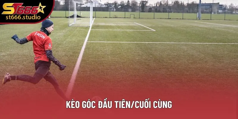 Đây là loại hình rất phù hợp với những ai quá bận rộn Đây là loại hình rất phù hợp với những ai quá bận rộn