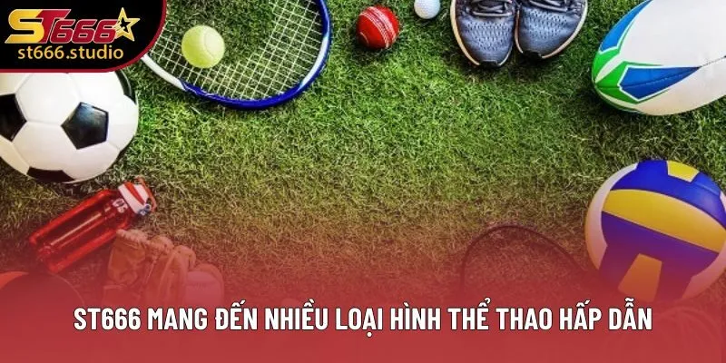ST666 mang đến nhiều loại hình thể thao hấp dẫn ST666 mang đến nhiều loại hình thể thao hấp dẫn